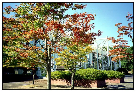 가을로 물든 학교..