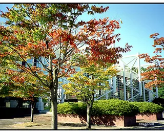 가을로 물든 학교..