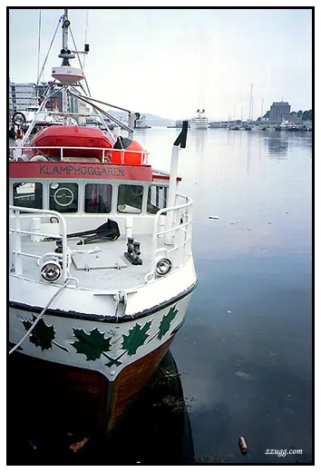 최악의 물가.. Bergen D+23