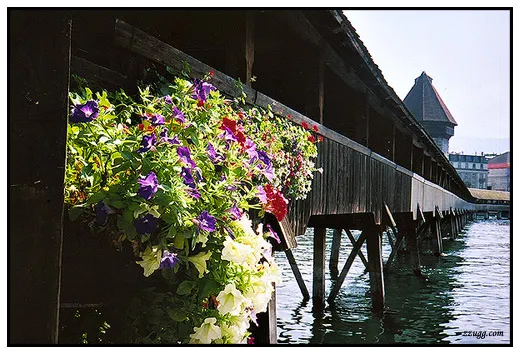 알프스 산속마을 Luzern D+8