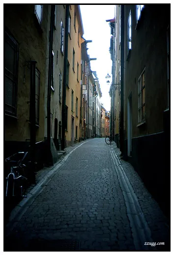 스톡홀름과 그 위의 대학마을 Uppsala D+26, 27
