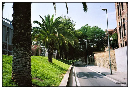 가우디의 Barcelona D+7