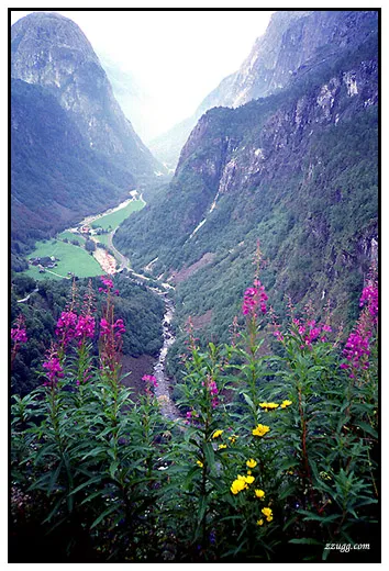 산넘고 물건너 바다건너서... Fjord D+24