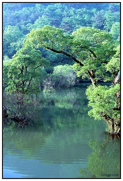 주산지 출사
