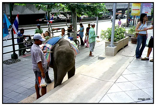 Epilog... Bangkok D+28, 29