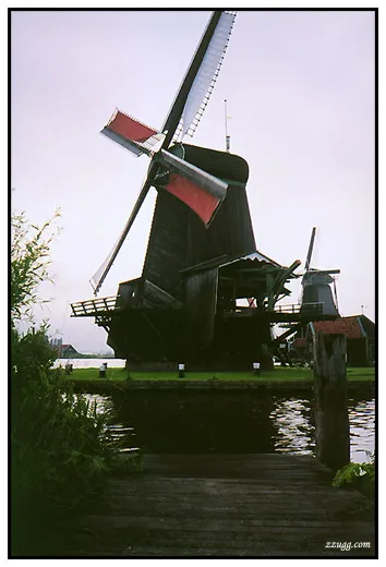 네덜란드 한적한 풍차마을 Zaanse Schans D+2