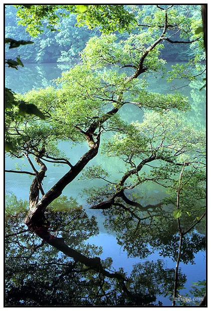 주산지 출사