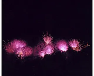 불꽃002