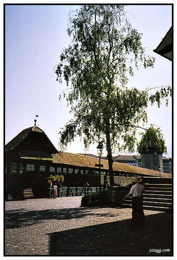 알프스 산속마을 Luzern D+8