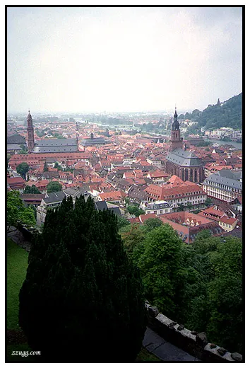 그냥 무난한 관광지 Heidelberg D+10