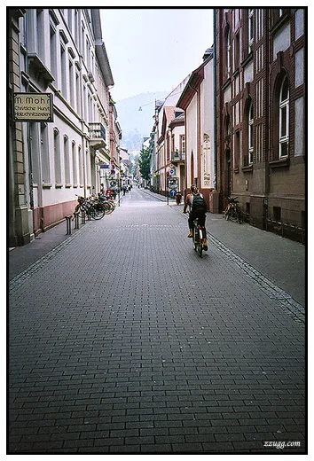 그냥 무난한 관광지 Heidelberg D+10