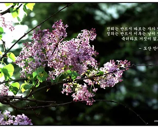 죽더라도..