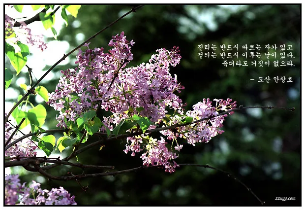 죽더라도..