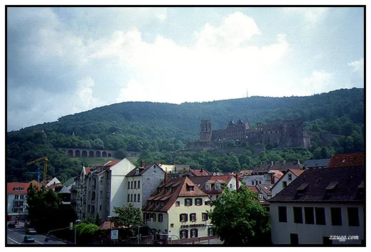 그냥 무난한 관광지 Heidelberg D+10