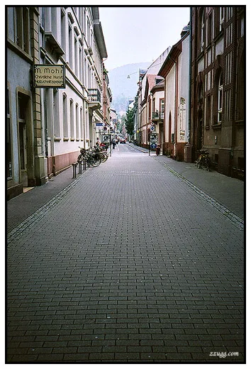 그냥 무난한 관광지 Heidelberg D+10